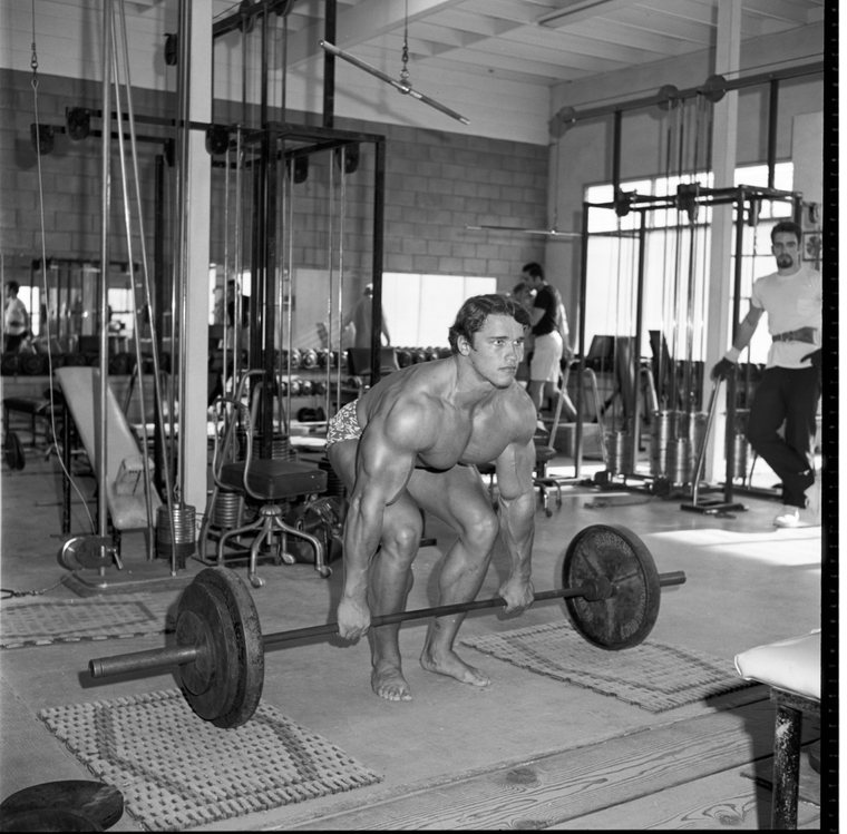 Arnold training